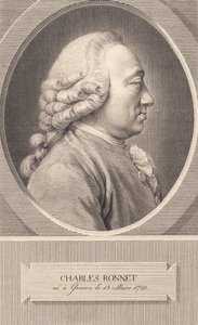 Charles Bonnet de J.F. Clemens