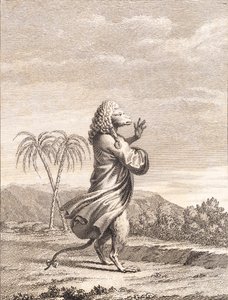 Un mono martiniqués de J.F. Clemens