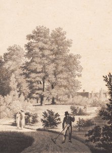 El jardín de Nordfeldt de J.F. Clemens