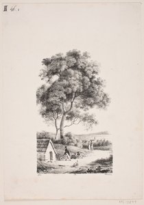 Paseando por un camino, a la izquierda árboles altos de J.F. Møller