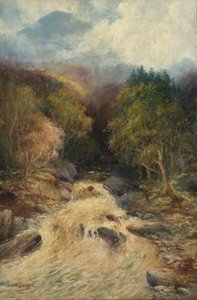 Un bosque de montaña de J.H. Stanger