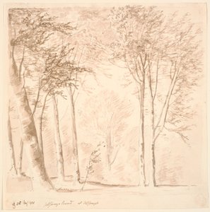 Paisaje forestal de J.P. Møller
