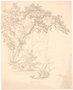 Árboles de J.P. Møller