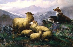 Perros pastores y ovejas en las Tierras Altas de Escocia de J.W. Morris