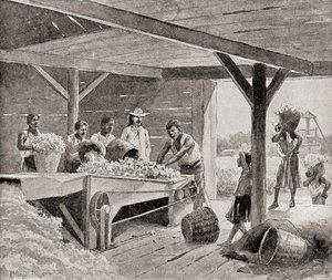 Esclavos trabajando con una desmotadora de algodón del siglo XIX en una plantación en un estado del sur de los Estados Unidos de América, de The History of Our Country, publicado 1905