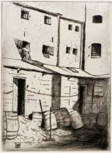 Callejón del mapache