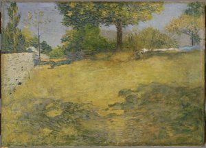 El alto pasto de J. Alden Weir