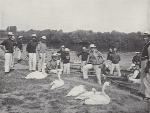 Captura de cisnes en el Támesis, examinando los pájaros viejos de J. Benjamin Stone