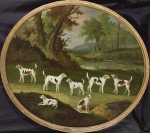 Perros en un paisaje boscoso