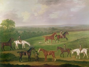 Caballos en Ejercicio