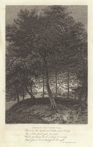 Robert Bloomfield, poeta: Fakenham desde Euston Park