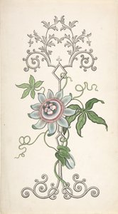 Diseño para Decoración de Panel Centrado en una Flor de la Pasión, 1828-40