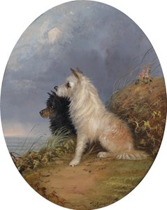 Dos perros en la playa de J. Langlois