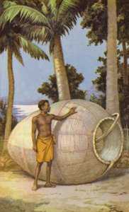 Hombre de Nueva Guinea con una trampa para peces (litografía en color)