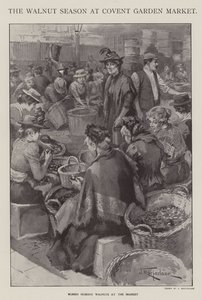 La temporada de nueces en el mercado de Covent Garden, Londres de J. Macfarlane