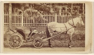[Pequeño carruaje con caballo] de J. Monstein