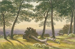 Hampstead Heath, Londres de J Powell