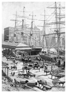 Embarque, Circular Quay, Sídney, Nueva Gales del Sur, Australia, 1886 de J. R. Ashton