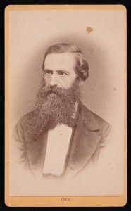 Retrato de Mordecai Cubitt Cooke 1825-1914, 1873 de J Stegmann