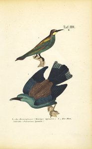  de J. W. Tenhaeff
