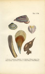  de J. W. Tenhaeff