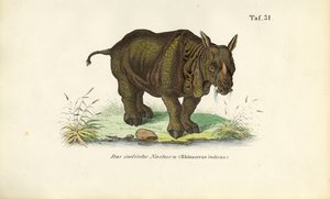  de J. W. Tenhaeff