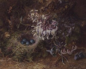 Nido de Pájaros y Madreselva de Jabez Bligh