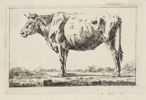 Vaca de pie, a la izquierda de Jacob Elias van Varelen