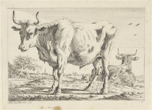 Buey de pie y acostado Seis grabados a partir de dibujos de varios maestros (título de la serie) de Jacob Elias van Varelen