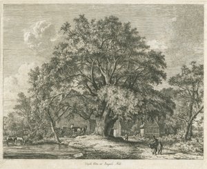 Olmo de Wych, Blithfield de Jacob George Strutt