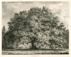 El roble Chandos, Michendon House, Southgate, Londres de Jacob George Strutt