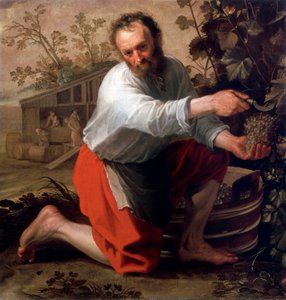 Viticultor