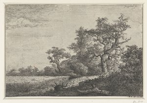 el maizal de Jacob van Ruisdael
