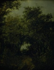 Camino en un bosque de robles de Jacob van Ruisdael