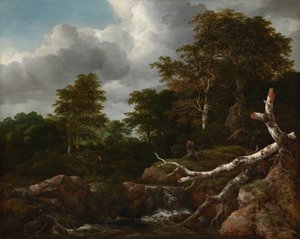 Escena del bosque, c.1655 (óleo sobre lienzo) de Jacob van Ruisdael