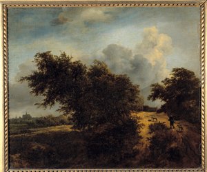 El bosque de Jacob van Ruisdael