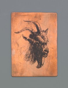 Cabeza de un dólar de Jacob Maris