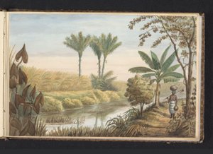 Vista del campo con plantación de caña de azúcar Visserszorg
Campo con caña de azúcar (título en el objeto)
Vista del terreno en Visserszorg (título en el objeto)
Álbum de dibujos de Surinam, p.7 (50) (título de la serie) de Jacob Marius Adriaan Martini van Geffen