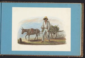 Hombre con carro con plátanos
Álbum de dibujos de Surinam, p.44 (50) (título de la serie) de Jacob Marius Adriaan Martini van Geffen
