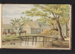 Casas de esclavos en la plantación de café SorgvlietCasa de esclavos (título del objeto)Vista de las casas de negros en la plantación Sorgvliet (título del objeto)Álbum de dibujos de Surinam, p.5 (50) (título de la serie) de Jacob Marius Adriaan Martini van Geffen