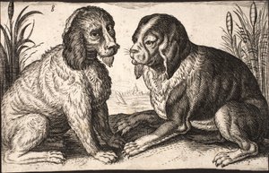 Dos perros junto a un lago