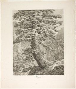 Abeto de Jacob Philipp Hackert