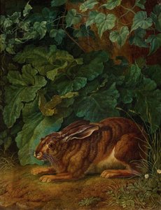 Alemán: Hare in the bushes
