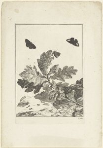 Mariposas voladoras y otros insectos sobre una rama con hojas