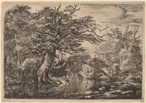 Un Pantano del Bosque con Viajeros en una Orilla (Los Viajeros) de Jacob van Ruisdael