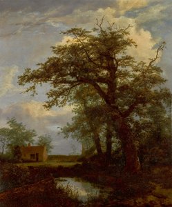 Un paisaje boscoso con un roble, un estanque y casas más allá de Jacob van Ruisdael