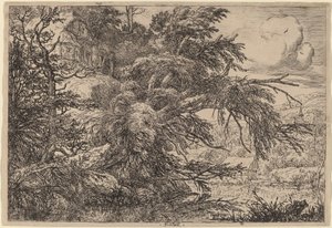 Cabaña en una Colina de Jacob van Ruisdael