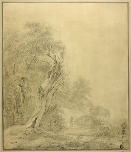 Árbol muerto al borde del agua, figura acercándose con un poste de Jacob van Ruisdael