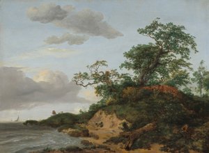 Dunas junto al Mar de Jacob van Ruisdael