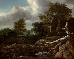 Escena del bosque, c. 1655 de Jacob van Ruisdael